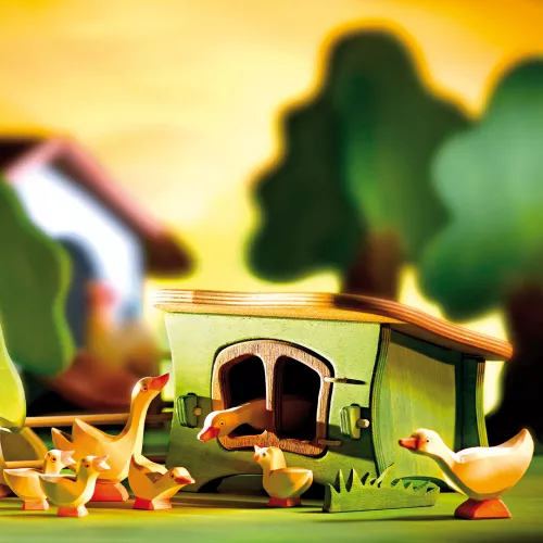 Ostheimer Ganzen En -konijnenhok - Afbeelding 3