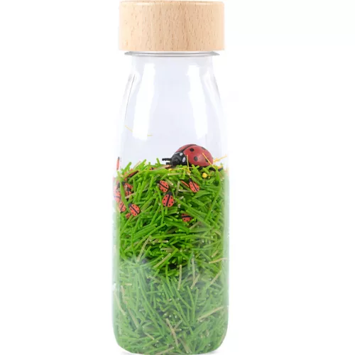Petit Boum Sensorische Fles Sound - Ladybirds